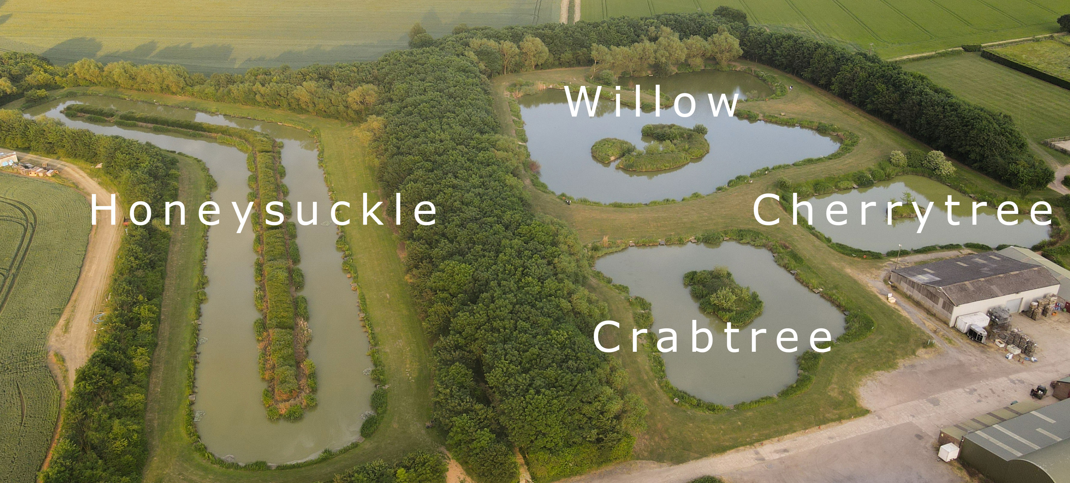 Labelled aerial map of the four lakes: Crab Tree, Cherry Tree, Willow and Honeysuckle